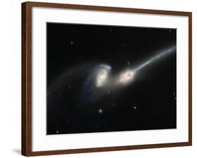 Mice Colliding Galaxies-null-Framed Photographic Print