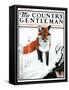 "Mice Hiding from Fox," Country Gentleman Cover, February 3, 1923-Paul Bransom-Framed Stretched Canvas