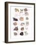 Mice in Glasses-Hanna Melin-Framed Photographic Print