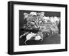 Mice Playing on a Cat-null-Framed Photographic Print