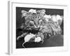 Mice Playing on a Cat-null-Framed Photographic Print