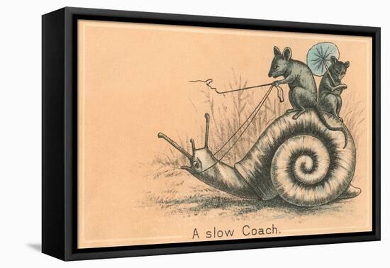 Mice Riding Snail-null-Framed Stretched Canvas