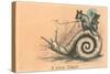 Mice Riding Snail-null-Stretched Canvas