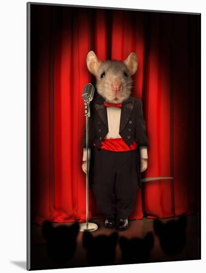 Mice Series #1.5-J Hovenstine Studios-Mounted Giclee Print