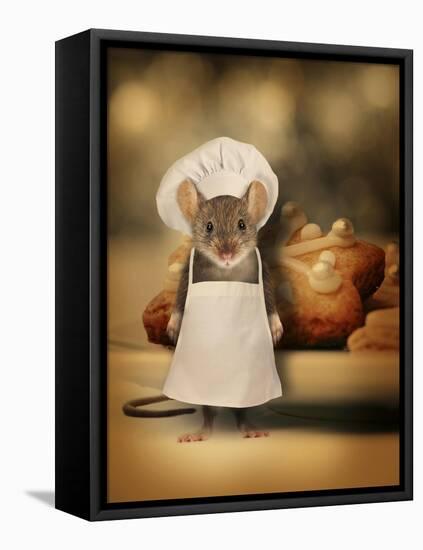 Mice Series #6.5-J Hovenstine Studios-Framed Stretched Canvas