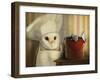 Mice Series #8-J Hovenstine Studios-Framed Giclee Print