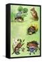 Mice, Voles and Shrews-Eric Tansley-Framed Stretched Canvas
