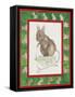 Mice-Miranda Legard-Framed Stretched Canvas