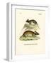 Mice-null-Framed Giclee Print