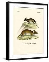 Mice-null-Framed Giclee Print