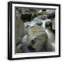 Black Frame