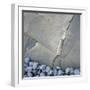 White Frame