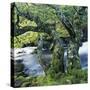 Stretched Canvas