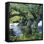 Canvas Black