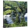 Stretched Canvas