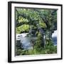 Chelsea Black