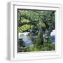White Frame