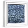 White Frame