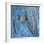 White Frame