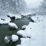 Snowy Riverbank-Micha Pawlitzki-Photographic Print