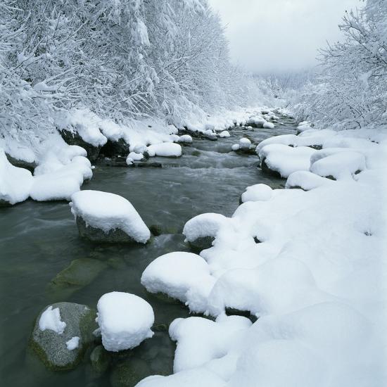 Premium Photographic Print, , large