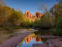 Cathedral Rock Reflection-Michael Blanchette Photography-Mounted Photographic Print