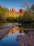 Cathedral Rock Reflection-Michael Blanchette Photography-Mounted Photographic Print