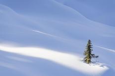 Snow Line-Michael Blanchette Photography-Giclee Print