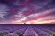 Stone House in Lavender Field-Michael Blanchette-Photographic Print