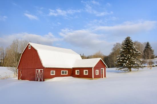 Premium Photographic Print, , large