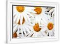 Gramercy White
