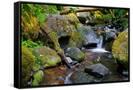 Canvas Black