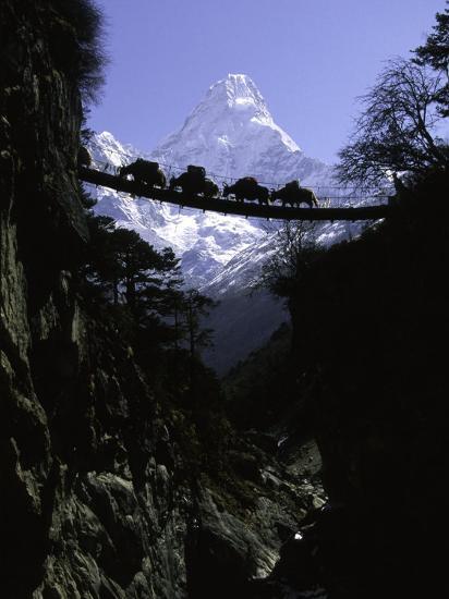 Photographic Print, , large