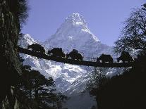 Sunkissed Advanced Basse Camp on Southside of Everest, Nepal-Michael Brown-Photographic Print