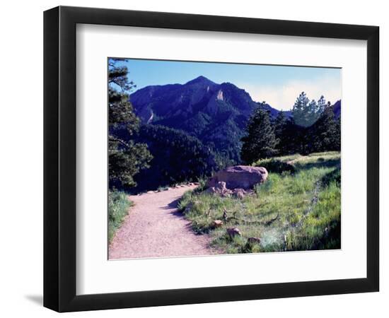 Premium Photographic Print, , large