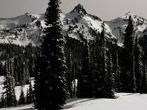 Snowy Mt. Rainer with Trees, Washington, USA-Michael Brown-Photographic Print