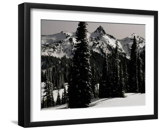 Premium Photographic Print, , large