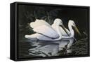 Canvas Black