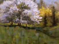 Summer Light - White Pine Rd Pond-Michael Budden-Giclee Print