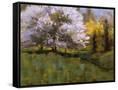 Canvas Black