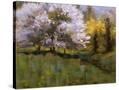 Stretched Canvas
