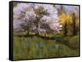 Canvas Black