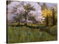 Stretched Canvas