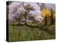 Stretched Canvas