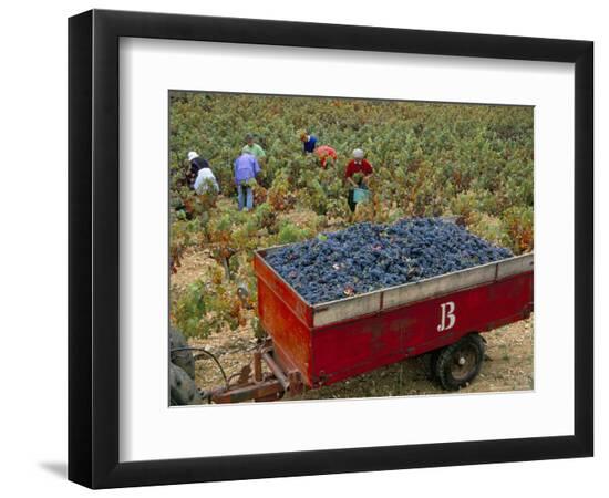 Premium Photographic Print, , large