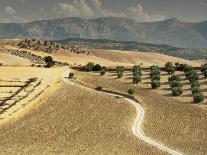 Landscape Near Jaen, Andalucia, Spain-Michael Busselle-Photographic Print