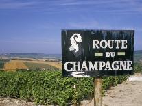 Route Du Champagne Sign, Near Epernay, Marne, Champagne Ardenne, France-Michael Busselle-Photographic Print