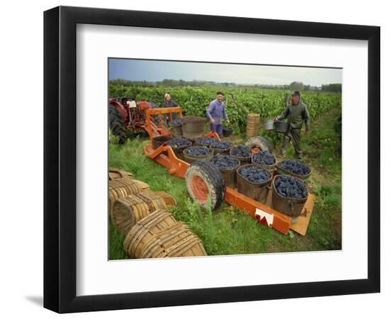 Photographic Print, , large