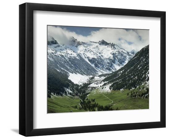 Premium Photographic Print, , large