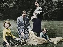 Royal family as a happy group of dog lovers, 1937-Michael Chance-Photographic Print
